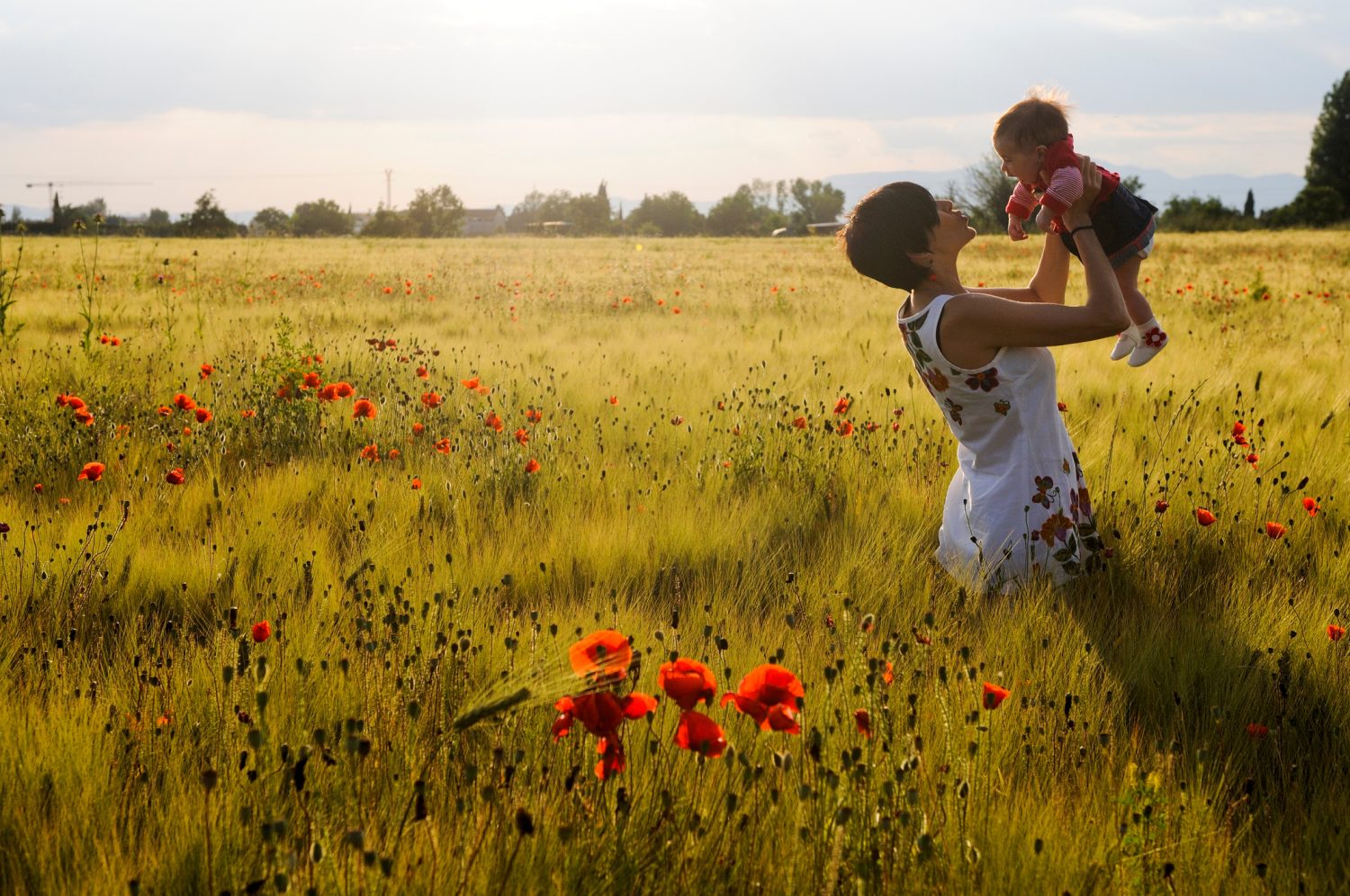 Part 2 The Pursuit Of Happiness With Dr Daniel Crosby Intrepid MEDIA